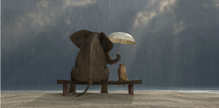 Does Intention Matter?: A Guide to Genuine Kindness