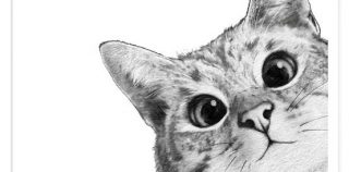 Fiction: “She Purred”