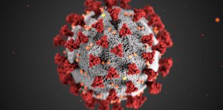 The End of the Pandemic?