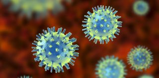 Dangerous New Virus Being Studied