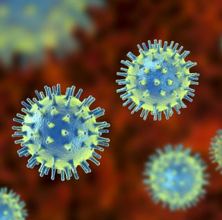 Dangerous New Virus Being Studied